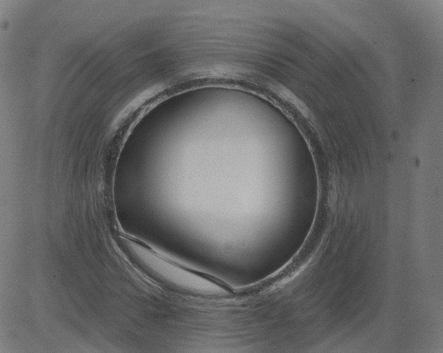 X0000084600922200703091925