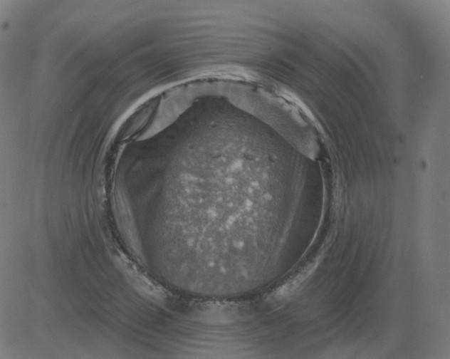 X0000084600923200703091925