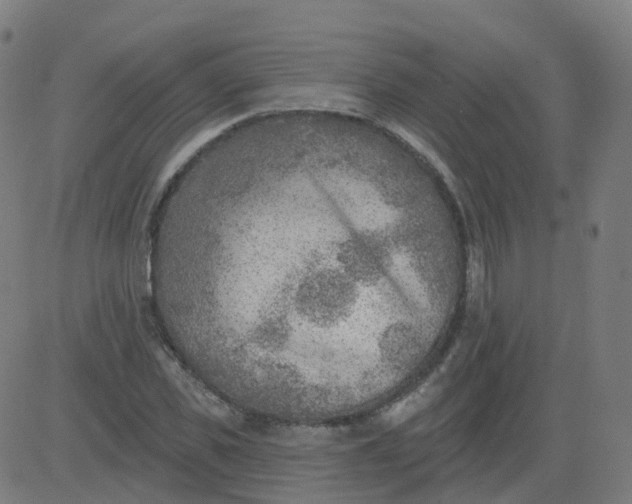 X0000084600925200703091925