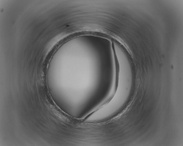 X0000084600926200703091925