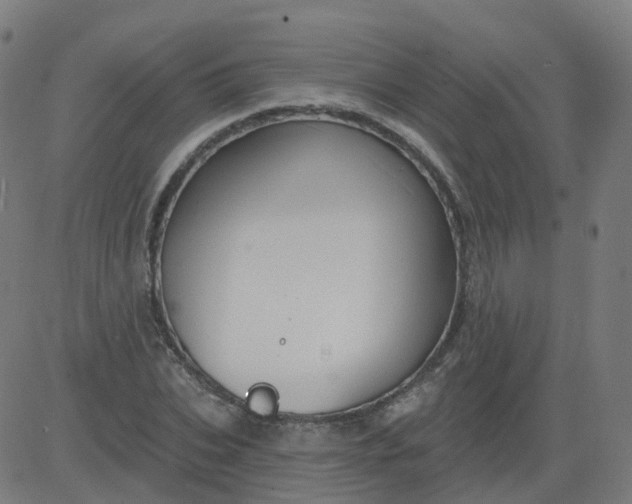 X0000084600927200703091925