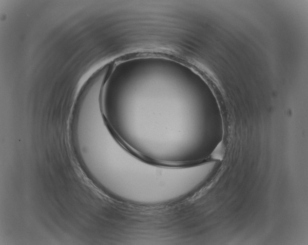 X0000084600928200703091925