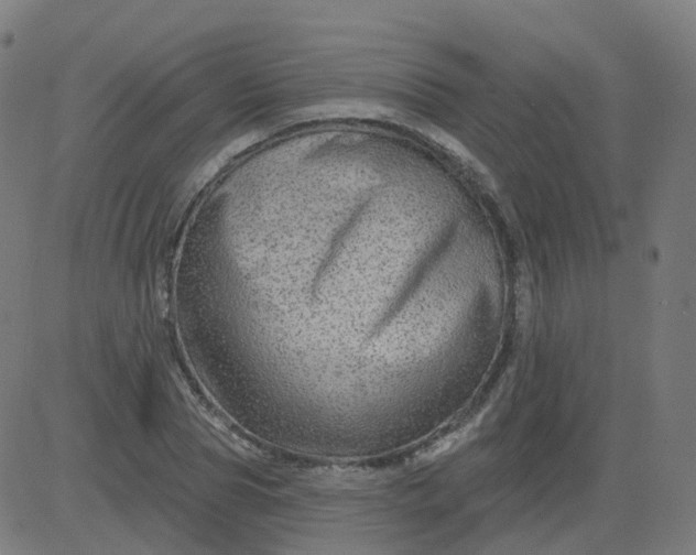 X0000084600929200703091925