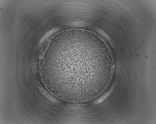 X0000084600930200703091925