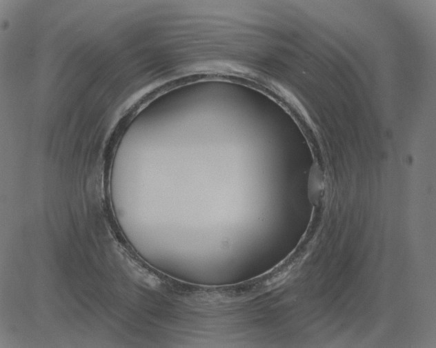 X0000084600931200703091925