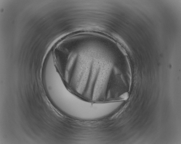 X0000084600932200703091925