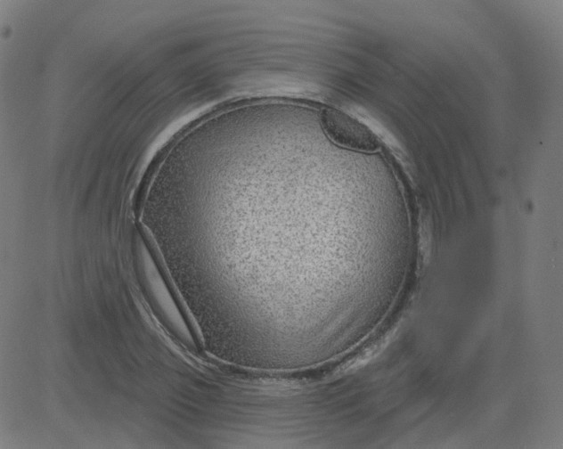 X0000084600933200703091925