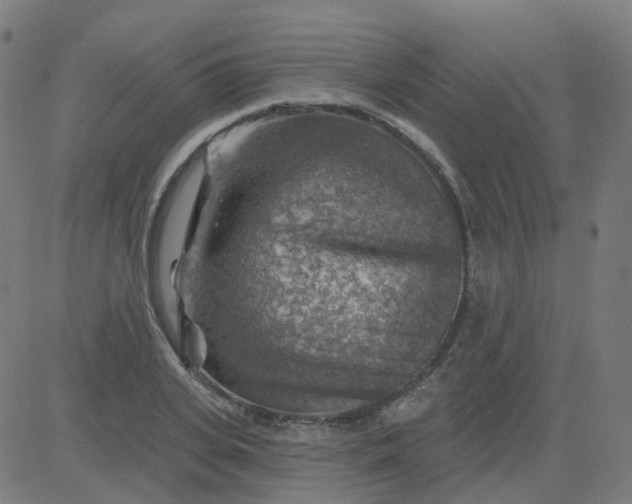 X0000084600935200703091925