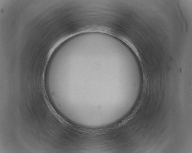 X0000084600936200703091925