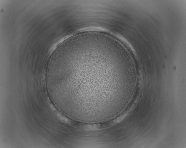 X0000084600937200703091925