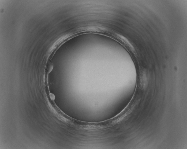 X0000084600938200703091925