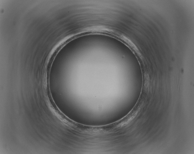 X0000084600939200703091925