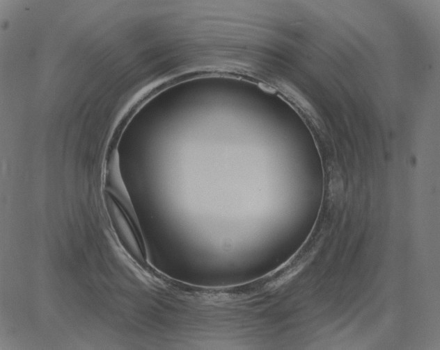 X0000084600940200703091925