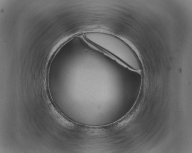 X0000084600941200703091925