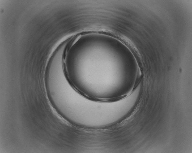 X0000084600942200703091925