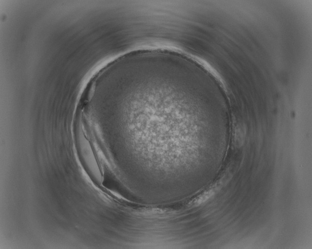 X0000084600943200703091925