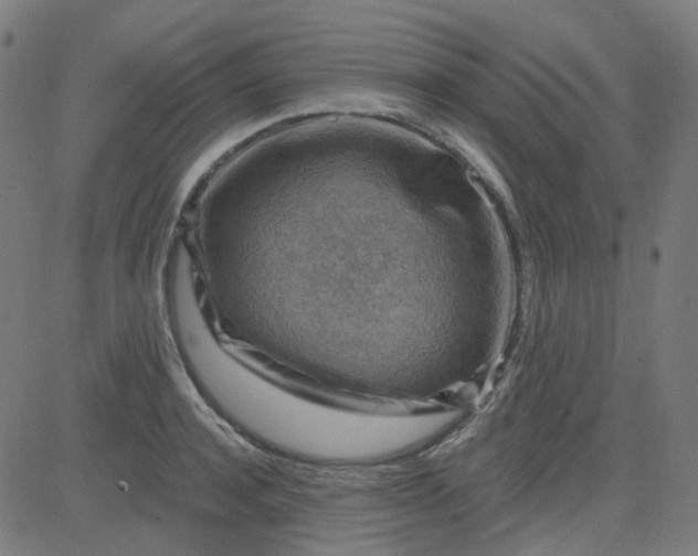 X0000084600944200703091925