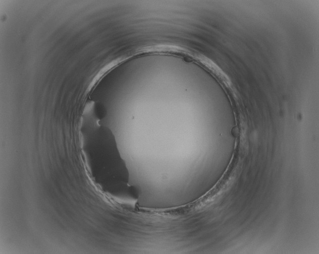 X0000084600945200703091925