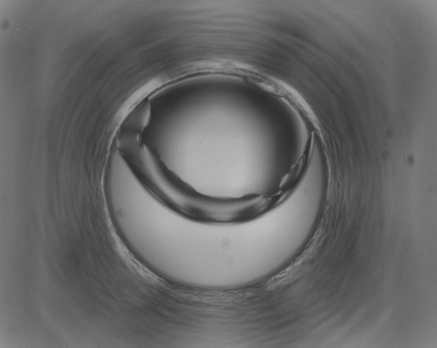 X0000084600946200703091925