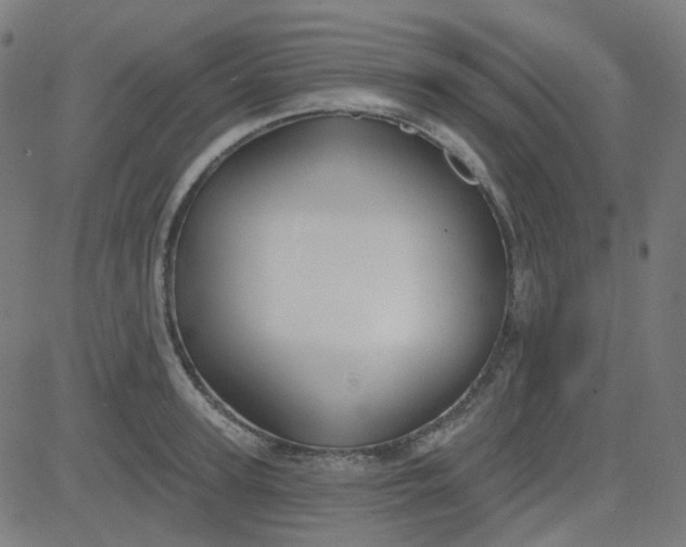 X0000084600947200703091925