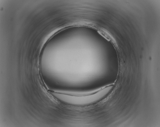 X0000084600948200703091925