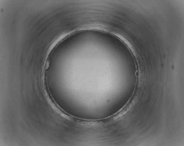 X0000084600949200703091925