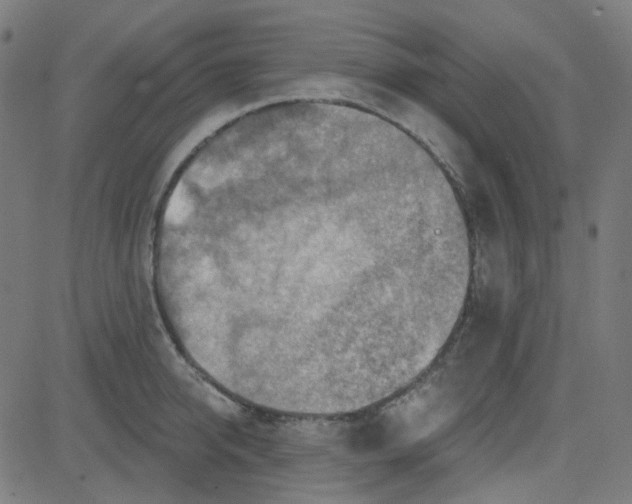 X0000084600950200703091925