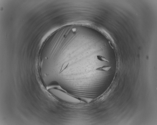 X0000084600952200703091925