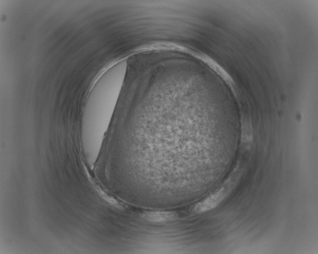 X0000084600953200703091925