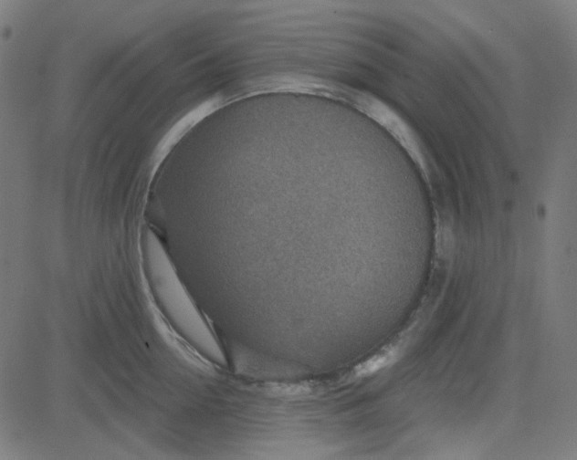 X0000084600954200703091925