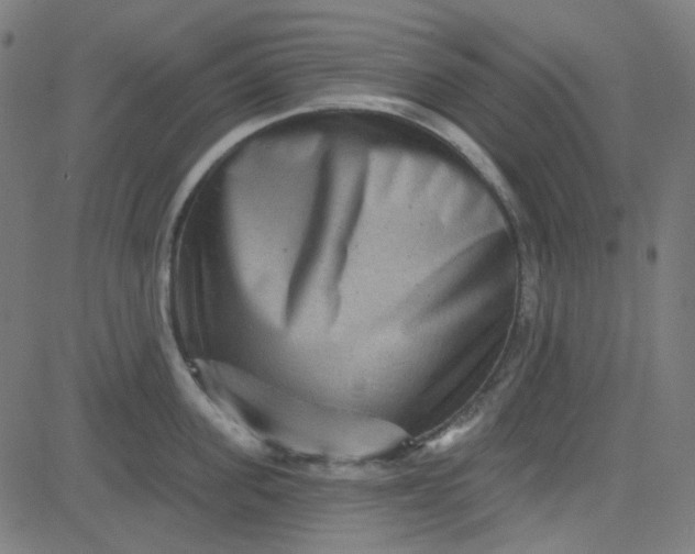 X0000084600955200703091925