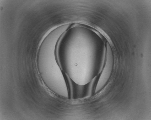 X0000084600956200703091925