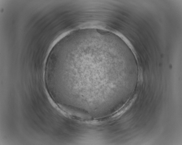 X0000084600957200703091925