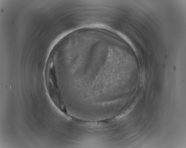 X0000084600959200703091925