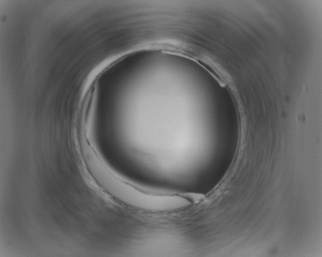 X0000084600960200703091925