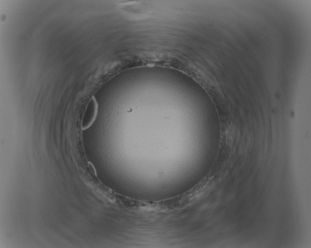 X0000084600961200703091925