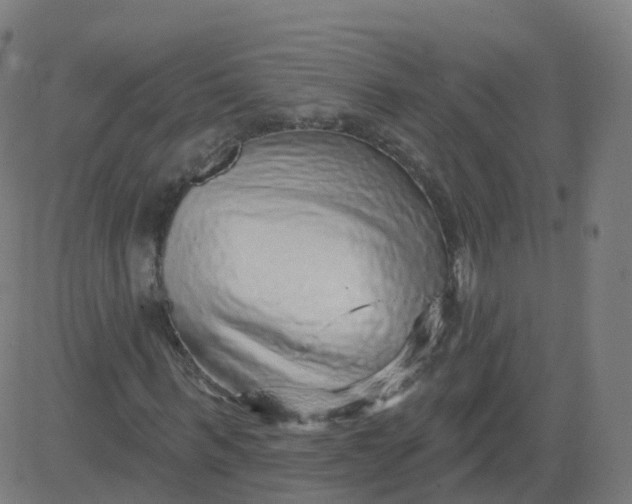 X0000084600963200703091925