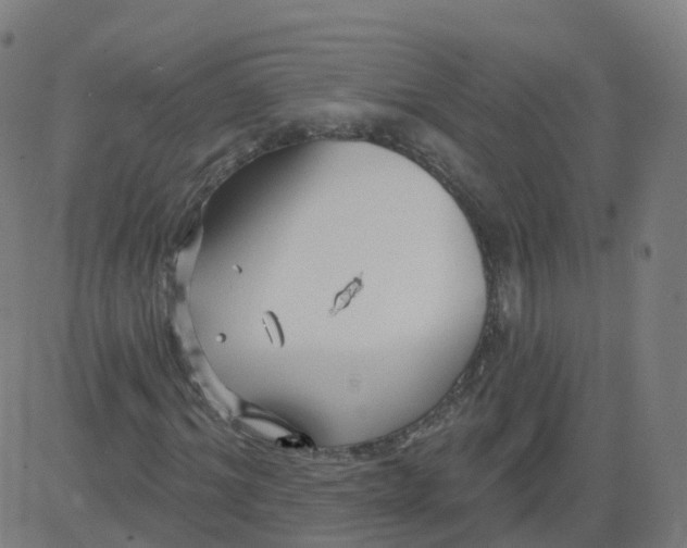 X0000084600964200703091925