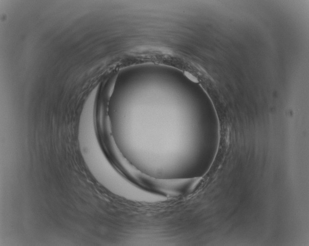 X0000084600965200703091925