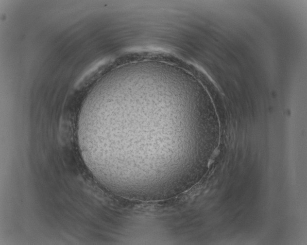 X0000084600967200703091924