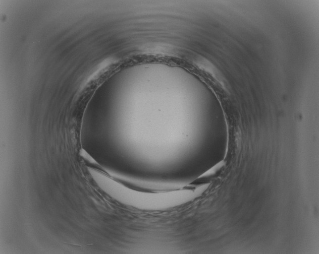 X0000084600968200703091924