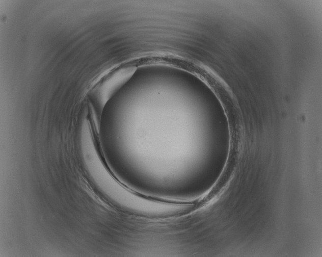 X0000084600969200703091924