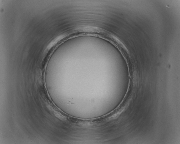 X0000084600970200703091924