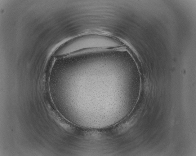 X0000084600971200703091924