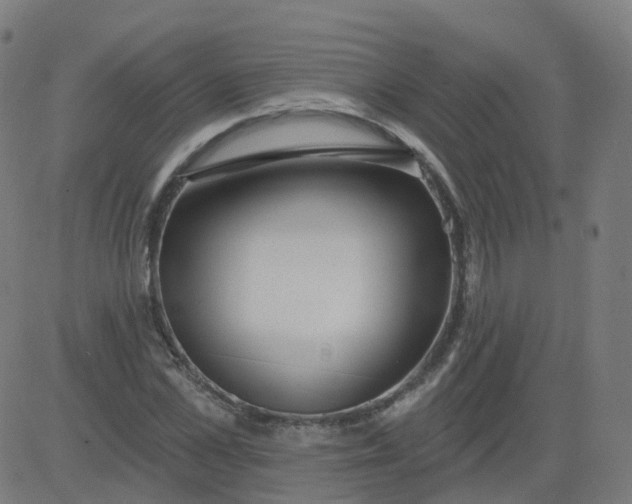 X0000084600973200703091924