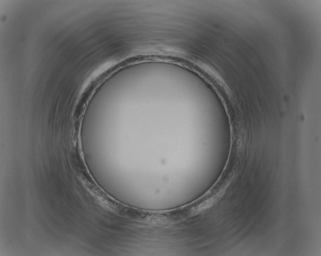 X0000084600974200703091924