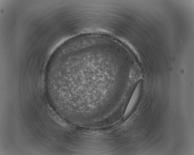 X0000084600975200703091924