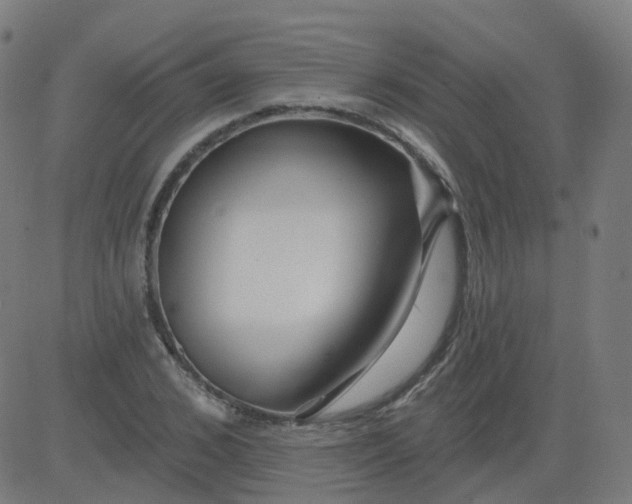 X0000084600976200703091924