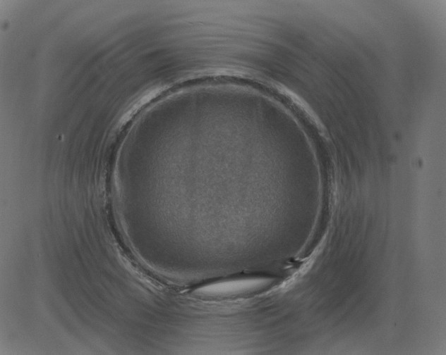 X0000084600977200703091924