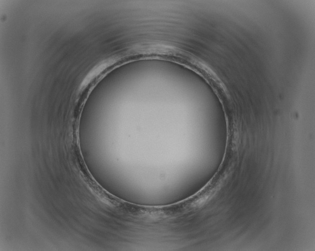 X0000084600978200703091924